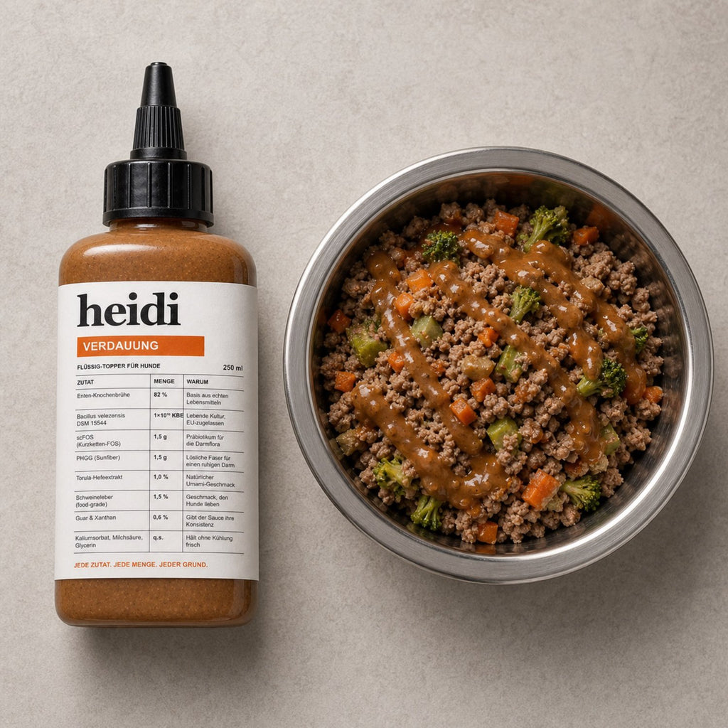 Heidi Verdauung flatlay